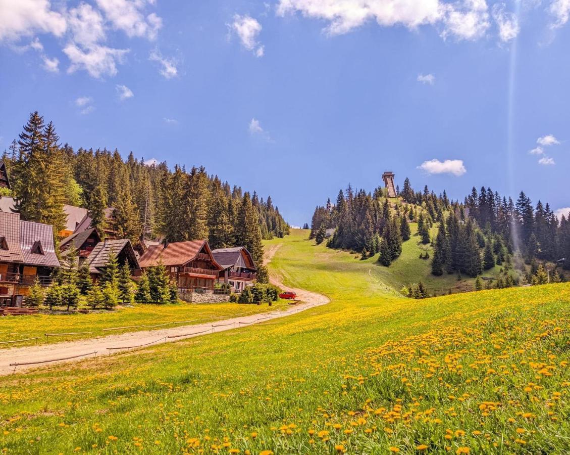 Hotel Villa Ugar Влашич Екстериор снимка